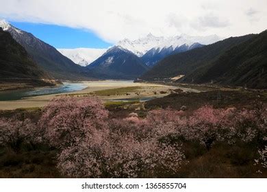 林芝8月什麼樣，不妨從其獨特的自然景觀著手，探索這片土地在夏季時節的無限魅力。